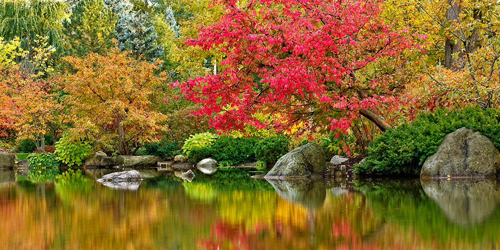 Gardenphotos Gardenofreflectionpond Autumn Anderson Japanese Gardens