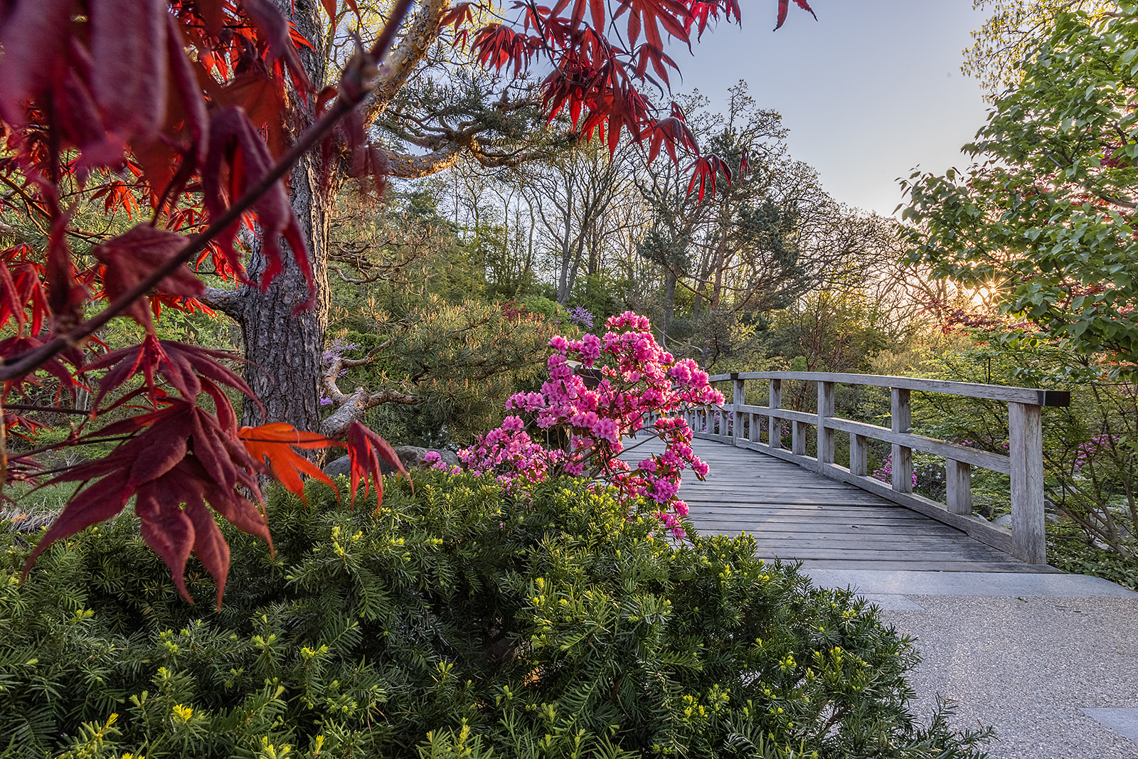 Plan Your Visit - Anderson Japanese Gardens